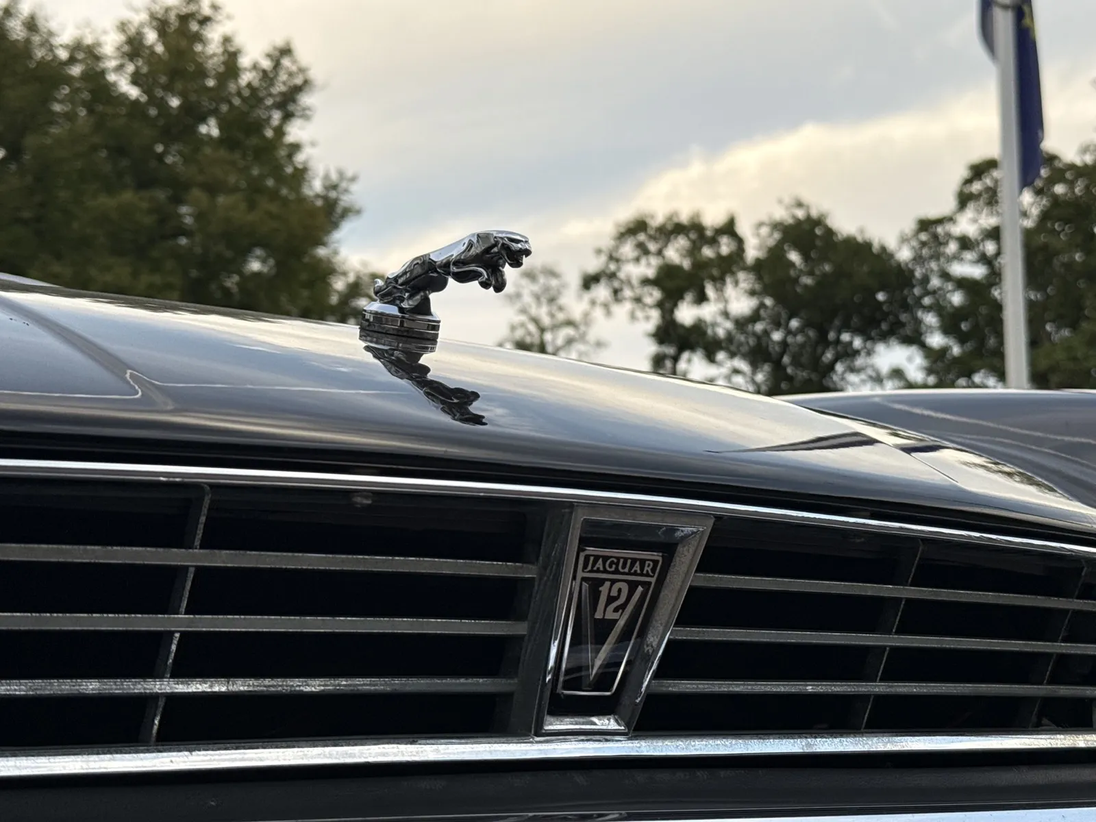 Klassieke Jaguar voor oldtimertaxatie